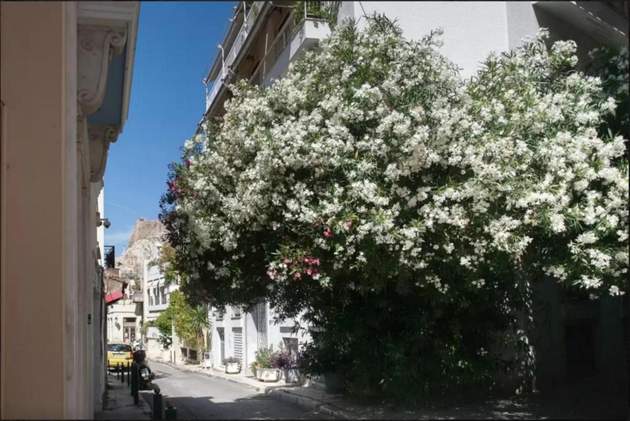 Апартаменты By The Acropolis, In The Heart Of Plaka! Афины Экстерьер фото